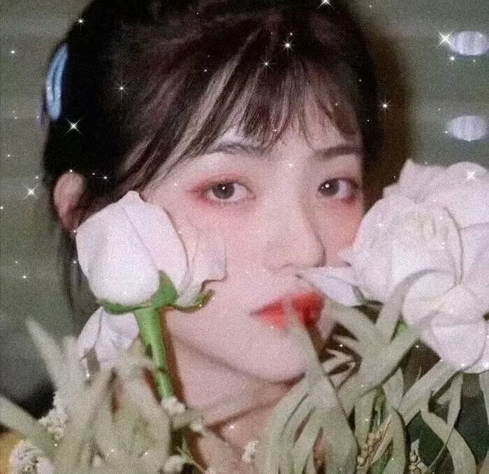 人类的故事